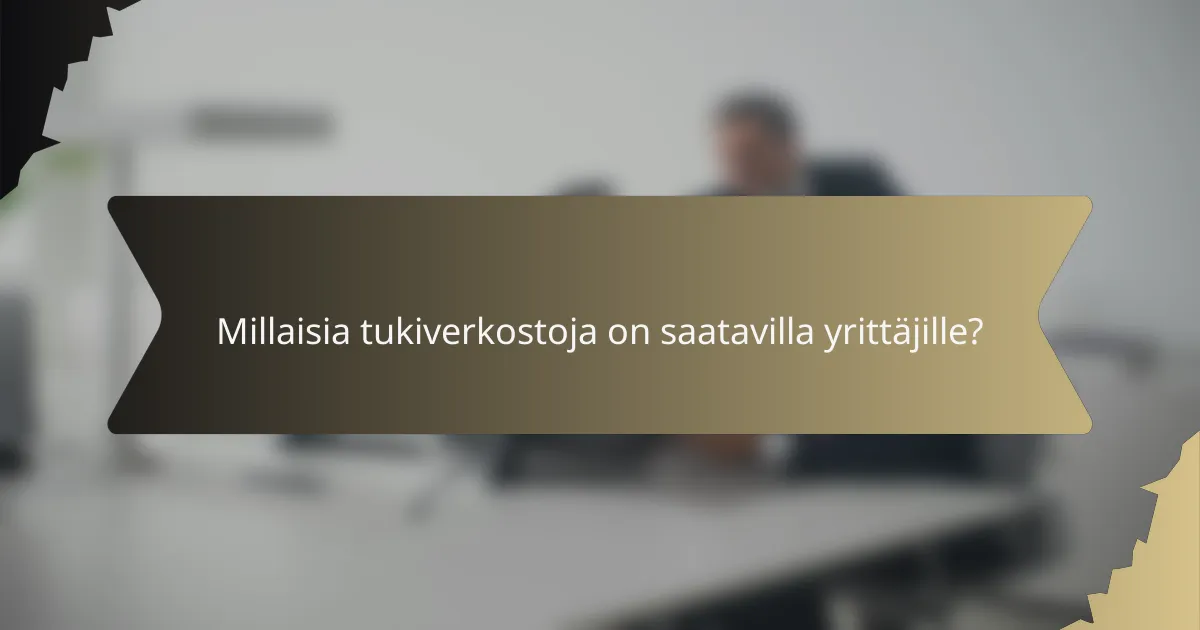 Millaisia tukiverkostoja on saatavilla yrittäjille?